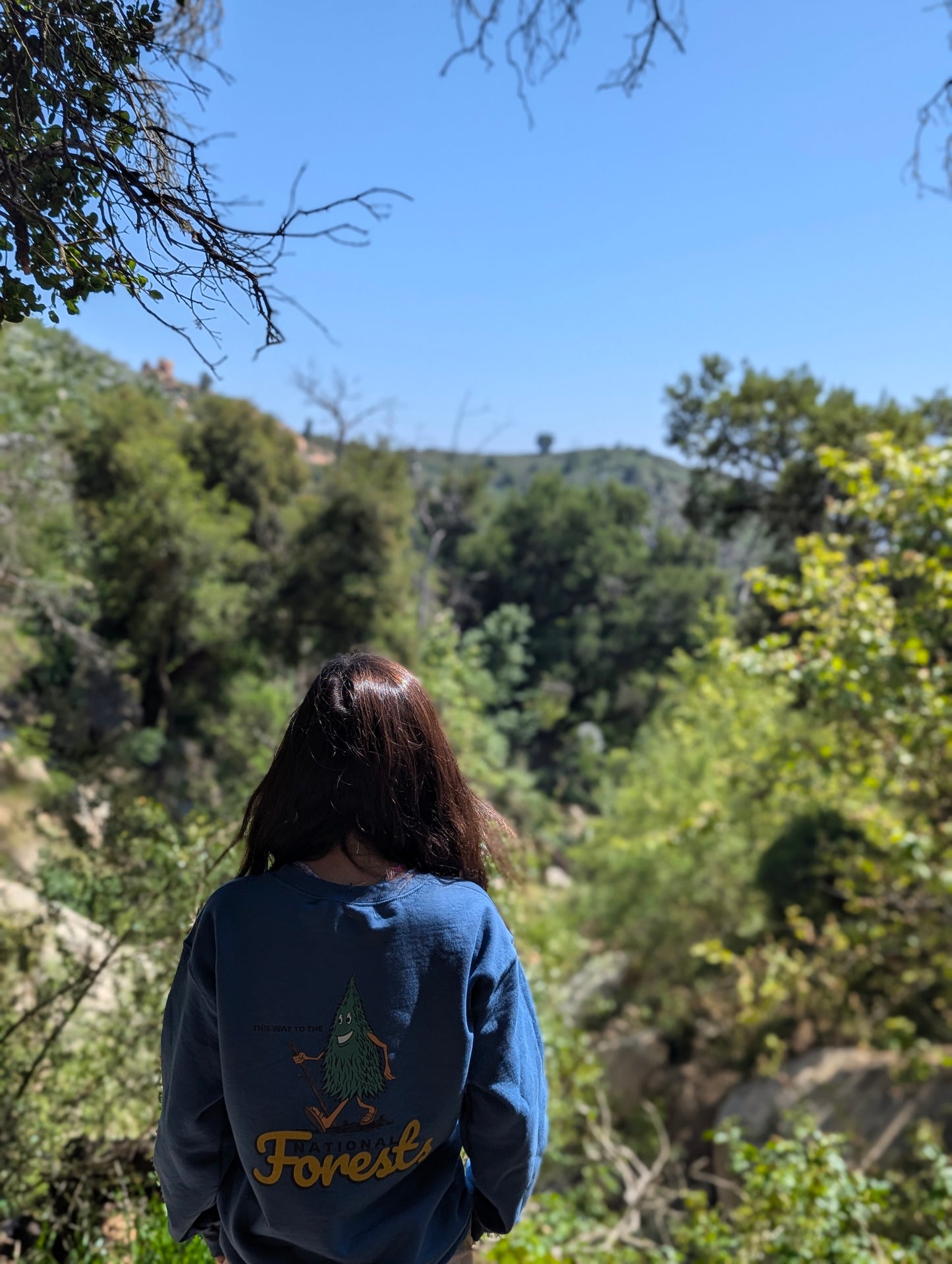 This Way to the National Forest Sweatshirt