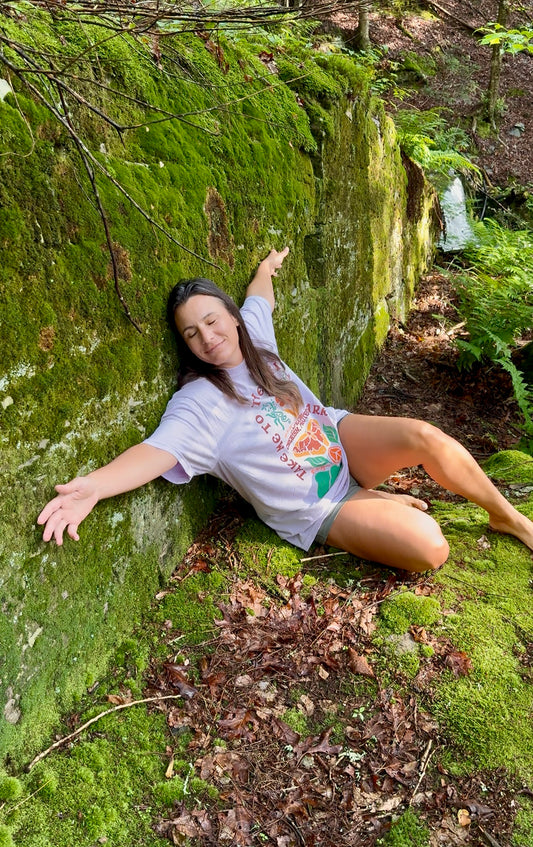 Take Me to the National Parks Shirt