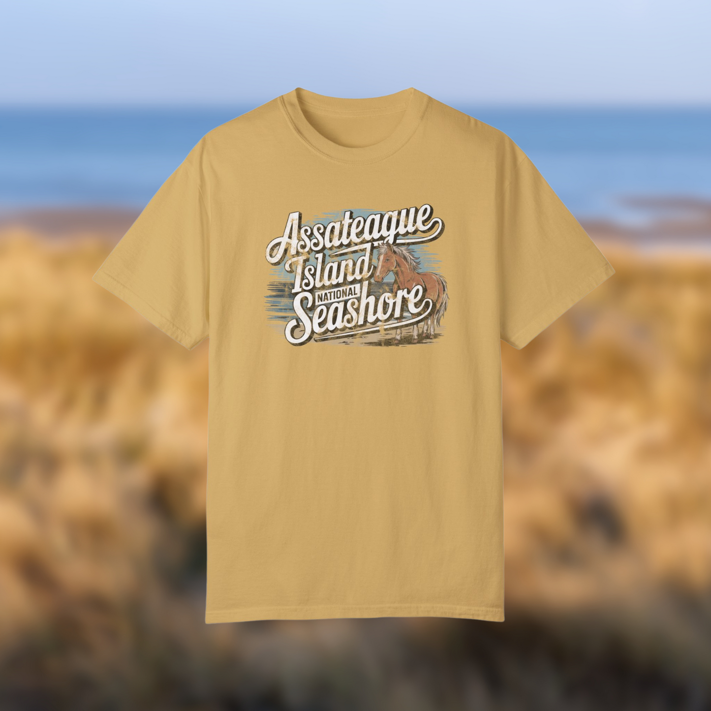 Soft vintage-style Assateague Island National Seashore tee featuring wild pony graphic in beachy colors.