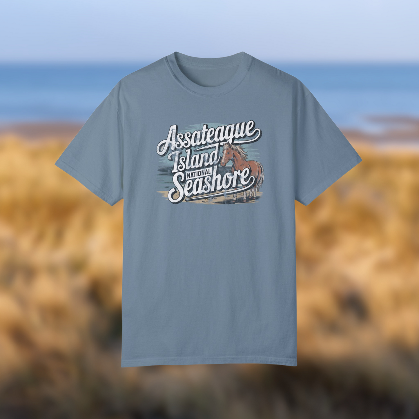 Assateague Island National Seashore vintage-style tee featuring a wild pony design in muted beach tones.