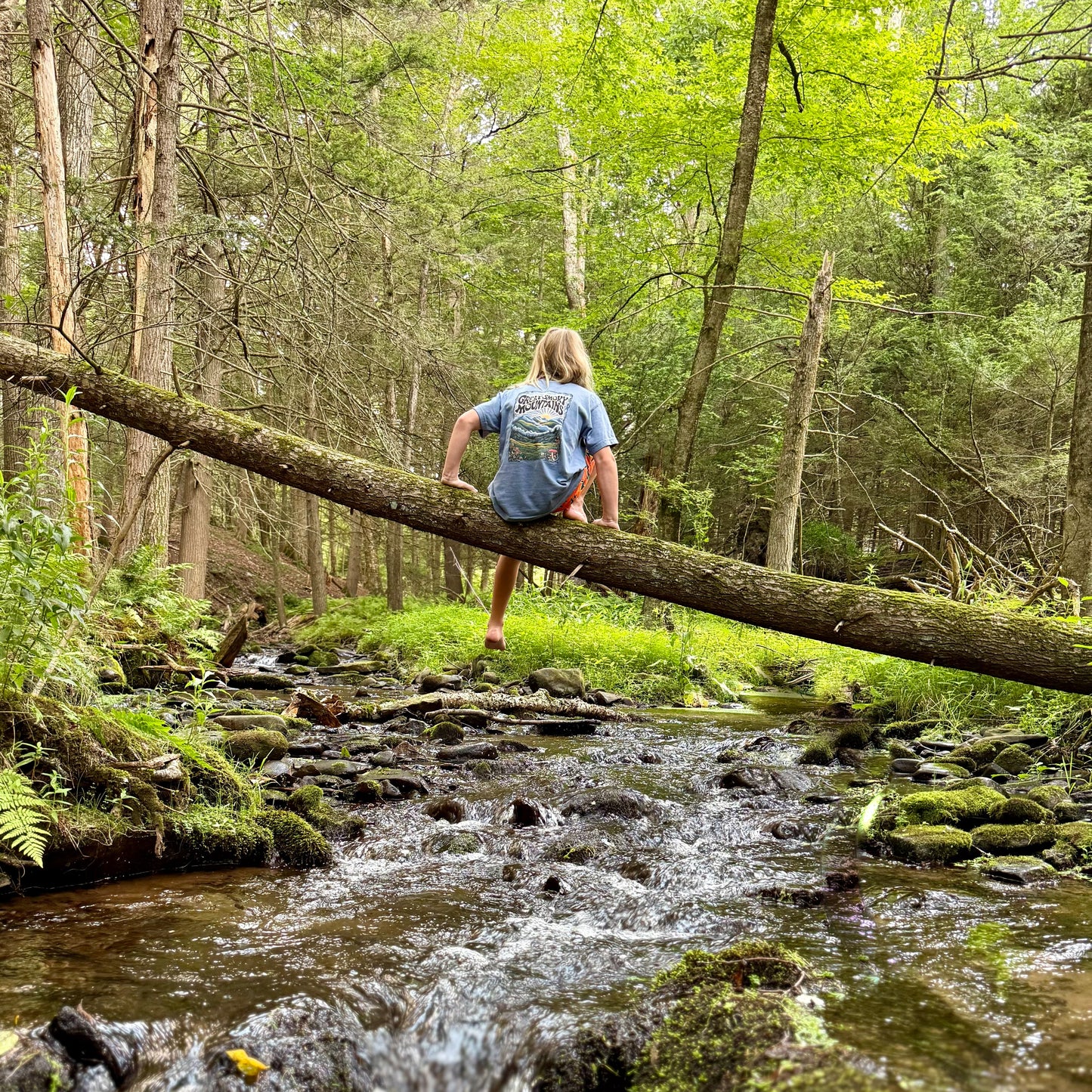 Youth wearing Great Smoky Sunrise Mist Tee while balancing on a log over a forest creek.