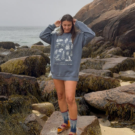 Person wearing a hoodie with a nature-themed design on a rocky beach.