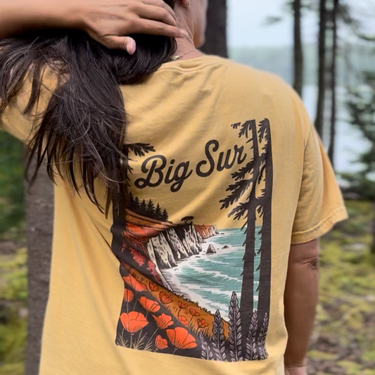 Back view of a person wearing a vintage Big Sur shirt with coastal scenery and poppies design.