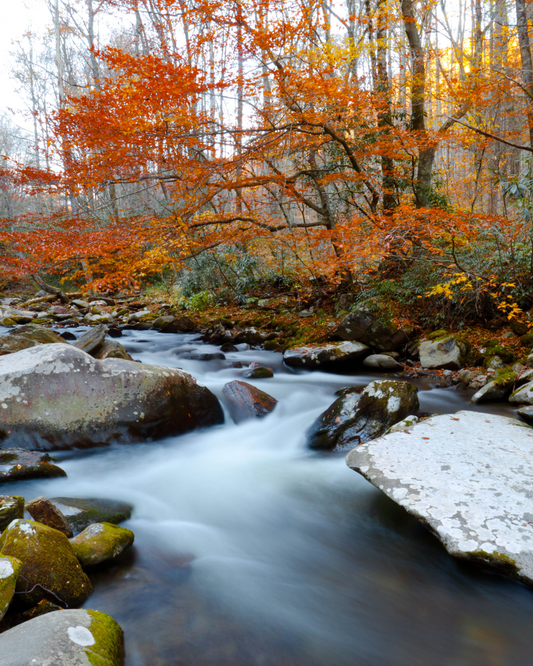 The 6 Best National Parks for Stunning Fall Foliage