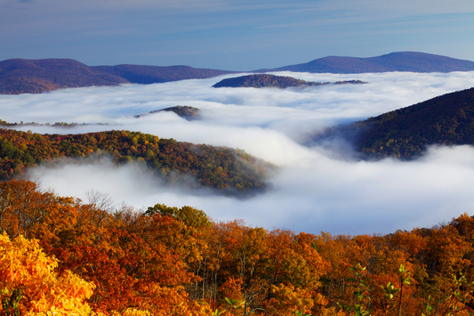 How to Have the Best Fall Weekend in Shenandoah National Park