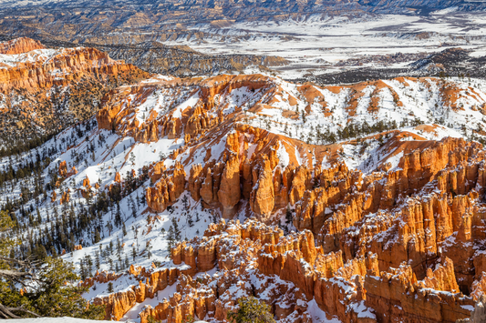 Best National Parks to Visit in the Winter