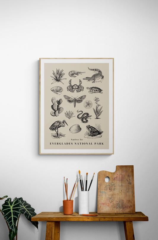 Native to the Everglades National Park Poster