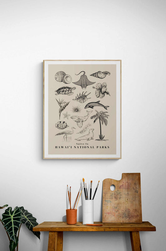 Native to Hawai'i National Parks Illustrated Poster