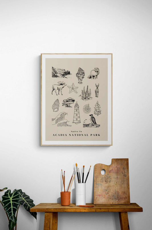 Native to Acadia National Park Poster
