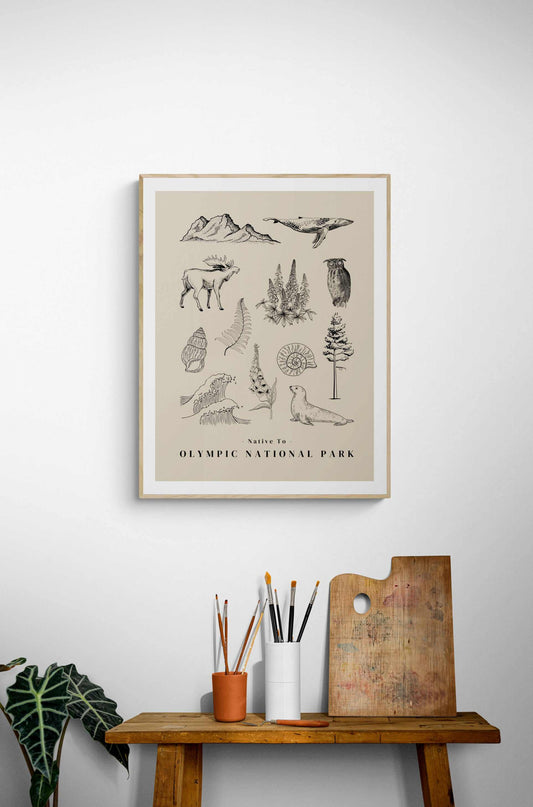 Native to the Olympic National Park Poster