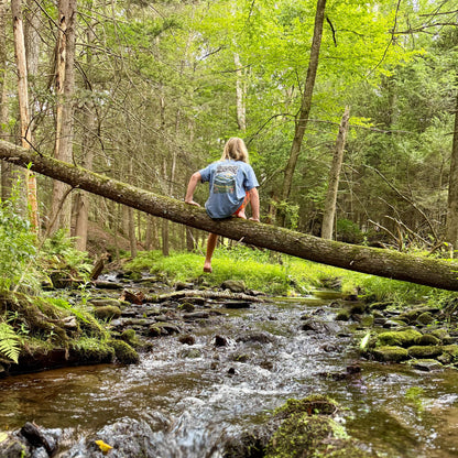 Youth wearing Great Smoky Sunrise Mist Tee while balancing on a log over a forest creek.