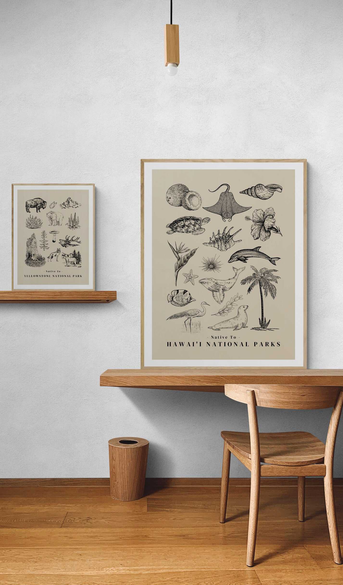 Native to Hawai'i National Parks Illustrated Poster