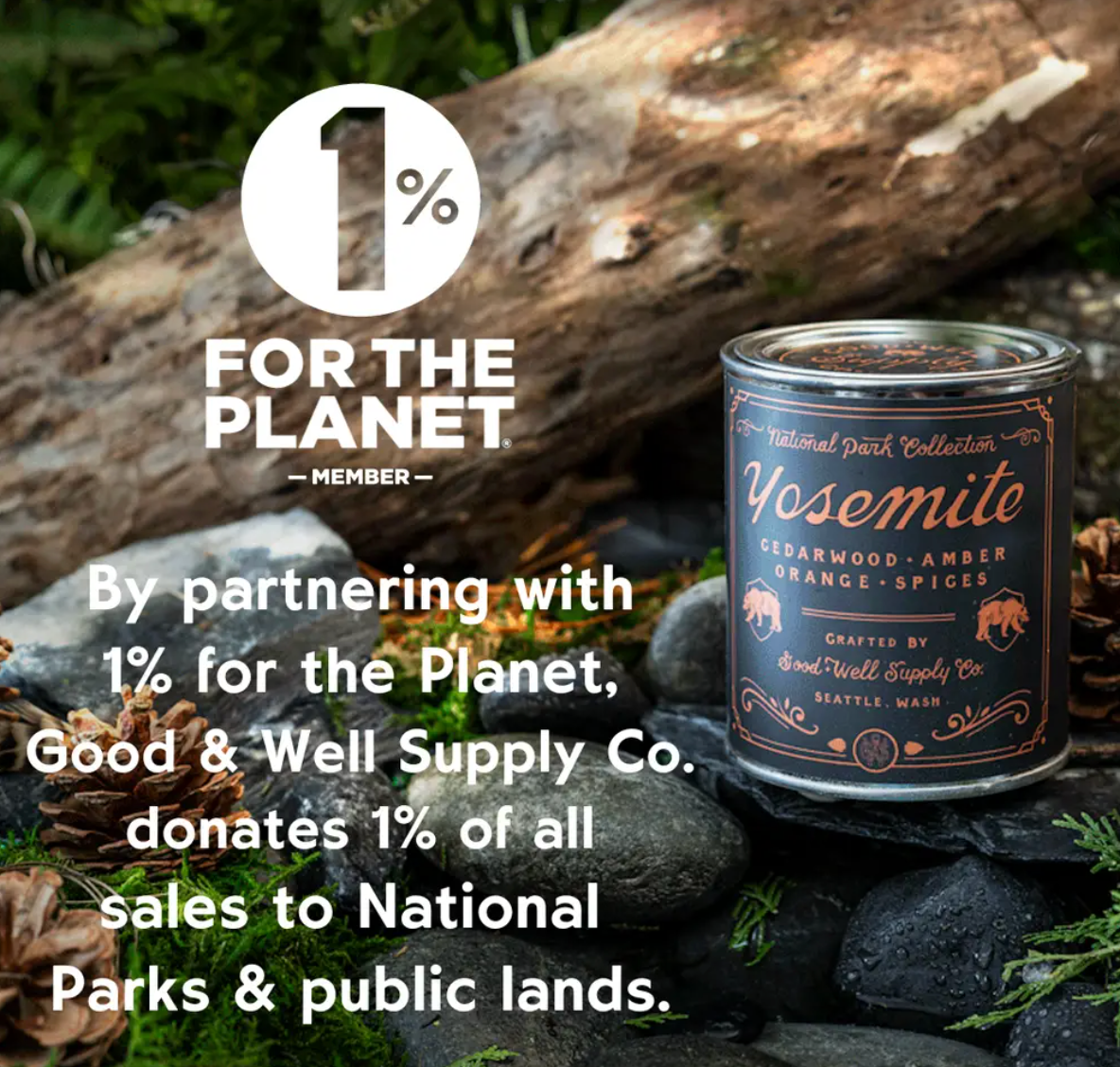 Mount Rainier National Park Candle