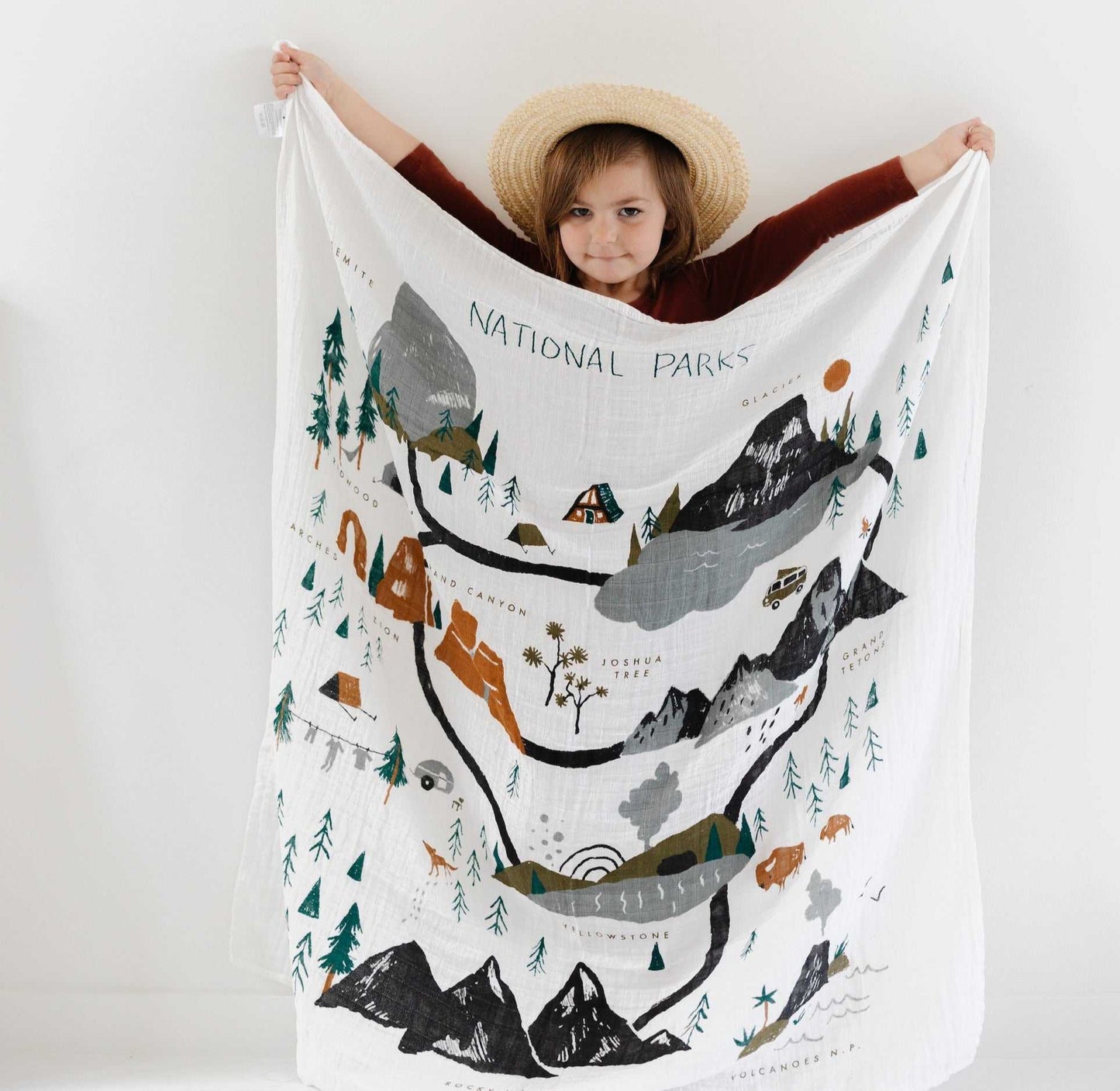 National Parks Swaddle Blanket