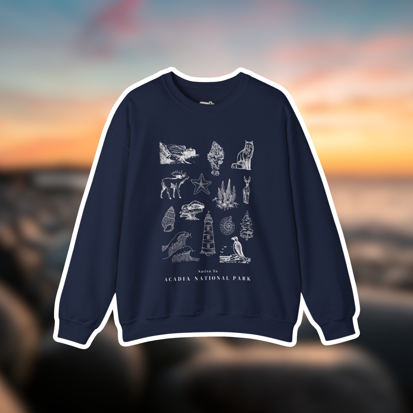 Acadia national park sweatshirt hotsell
