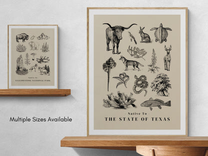 Native to the Great State of Texas Illustrated Poster