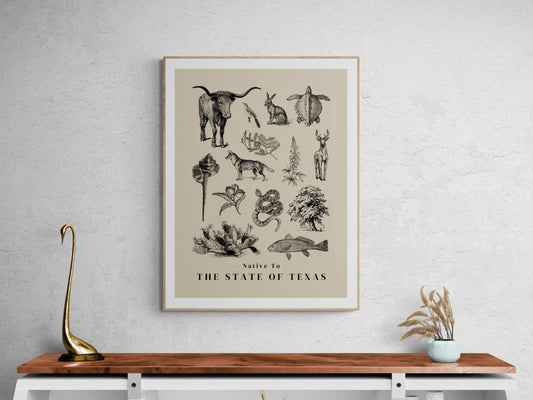 Native to the Great State of Texas Illustrated Poster