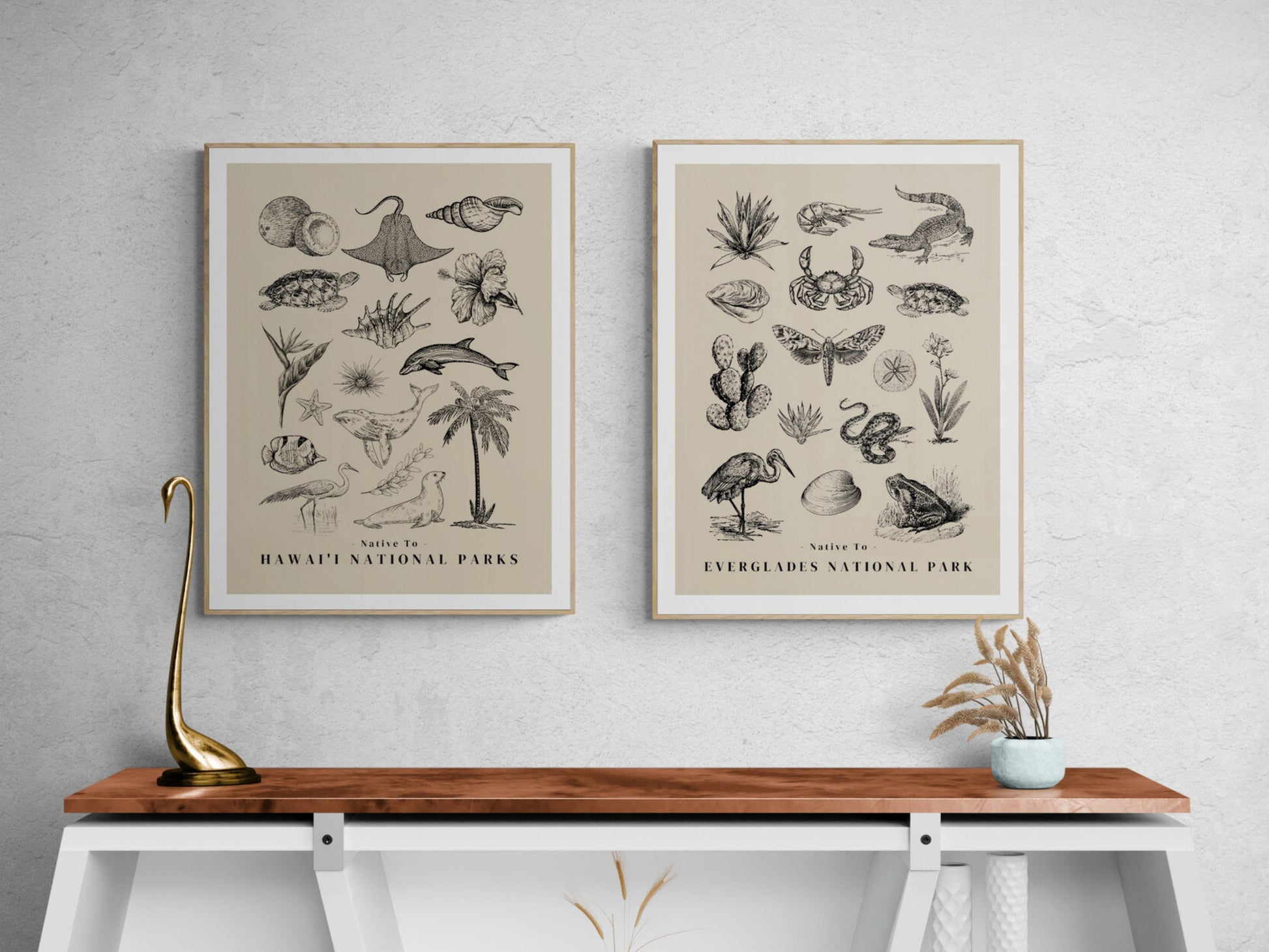 Native to the Everglades National Park Poster